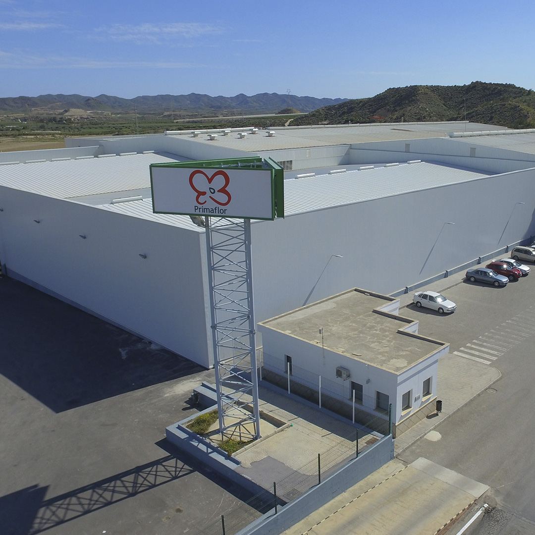 Instalaciones de Primaflor en Pulpí